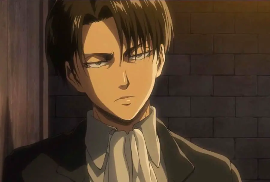 leviacker (1) leviacker (1)